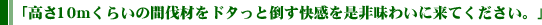高さ10mくらいの間伐材をドタっと倒す快感を是非味わいに来てください。