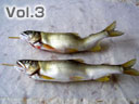 Vol.3